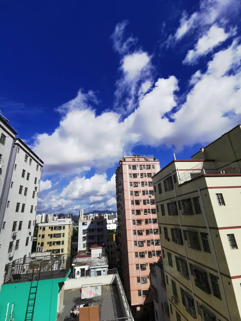 深圳网站建设 手机网站建设势在必行，为何你的网站必须加入这项功能？